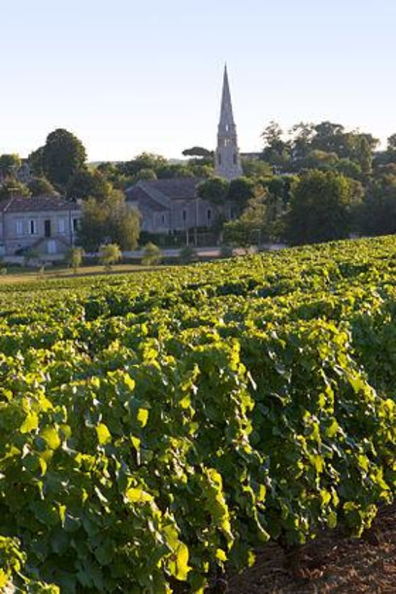 Rando entre Saugon et Saint-Girons-d'Aiguevives - Saint-Girons-d'Aiguevives
