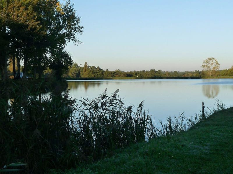 Chouette plan d'eau de Laruscade - Laruscade