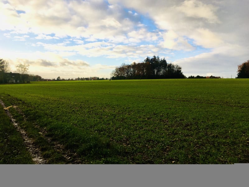 Sologne mystérieuse et sa butte aux Elus - Mézières-lez-Cléry