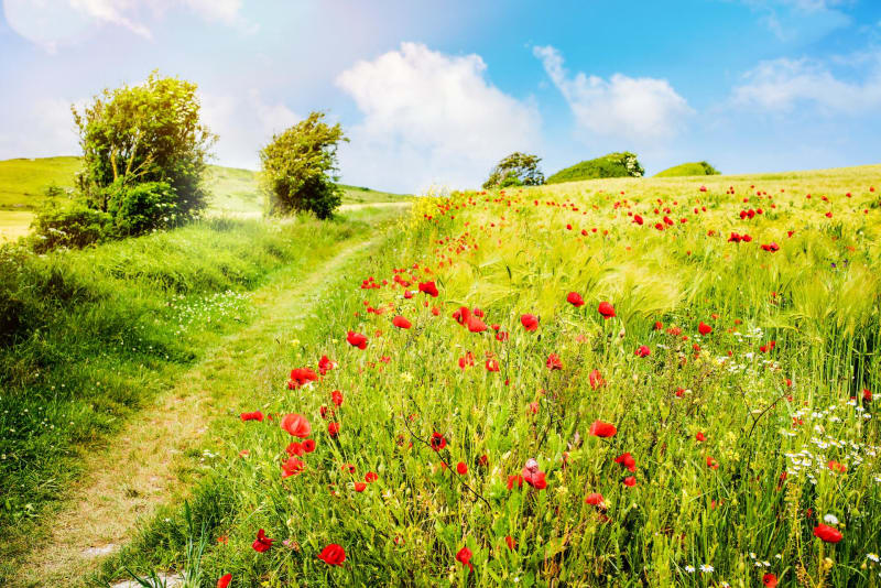Boucle bucolique à Douy-la-Ramée - Douy-la-Ramée