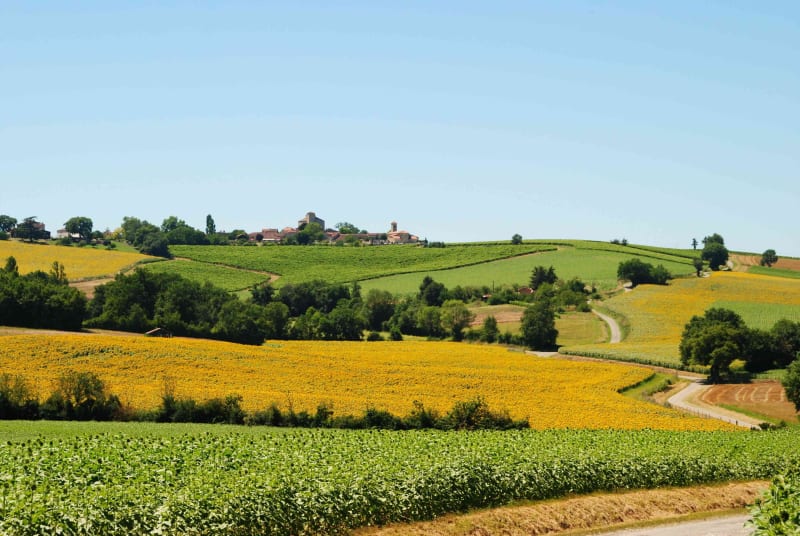 Boucle champêtre autour du village d'Othis - Othis