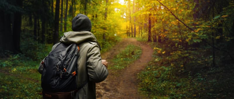 Escapade dans la forêt d'Hez-Froidmont - La Neuville-en-Hez