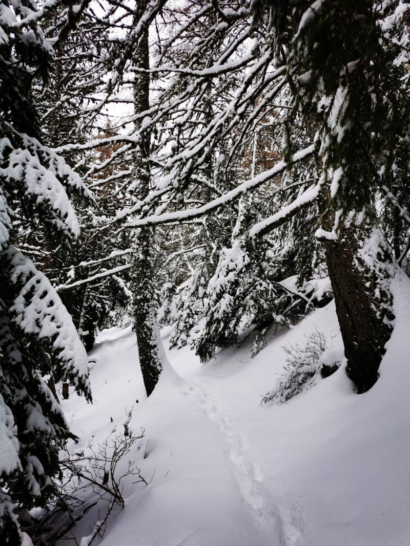 Été comme hiver, grimper au sommet du Mont-Ventoux - Beaumont-du-Ventoux