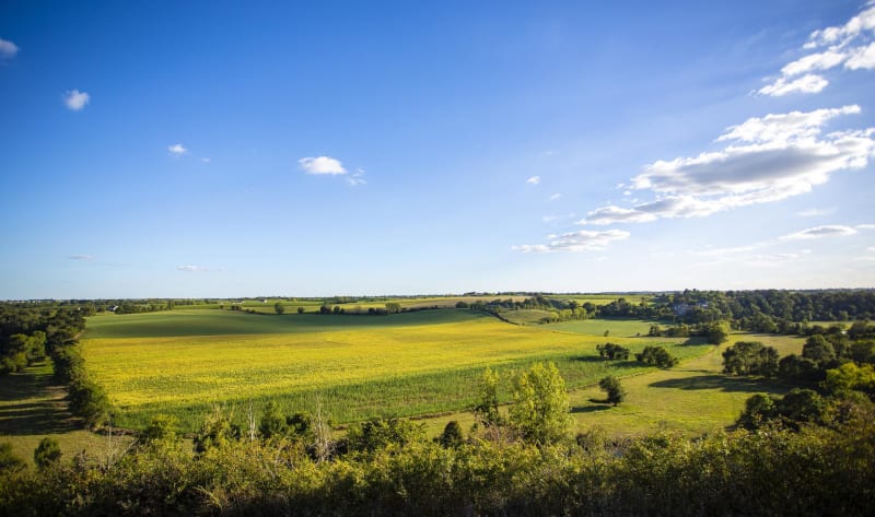 Balade champêtre et apaisante à Magny-en-Vexin - Magny-en-Vexin