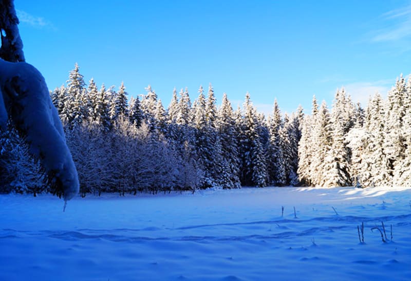 Lauzetvijver en winterrust in het bos - Villard de Lans, Cote 2000