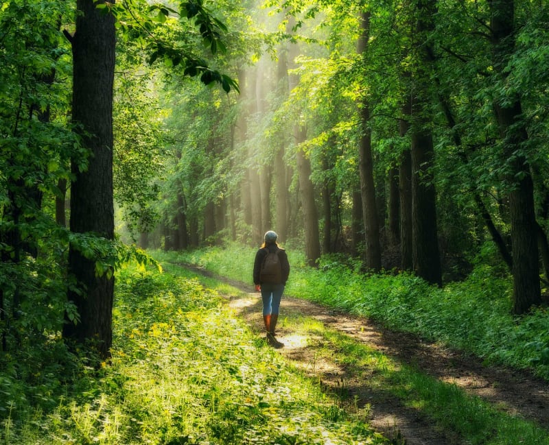 Parc de Kerihuer aux portes de Ploemeur - Ploemeur
