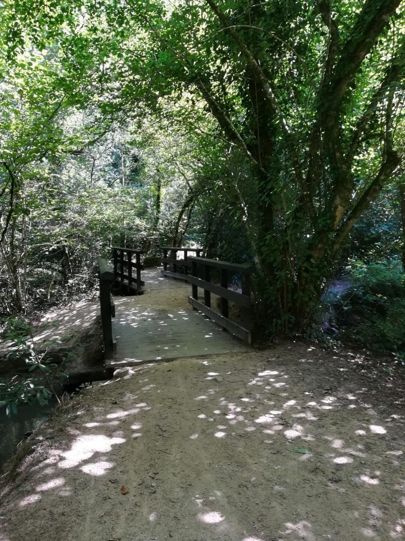 Evasion à Ploemeur et découverte des trésors de son parc - Ploemeur
