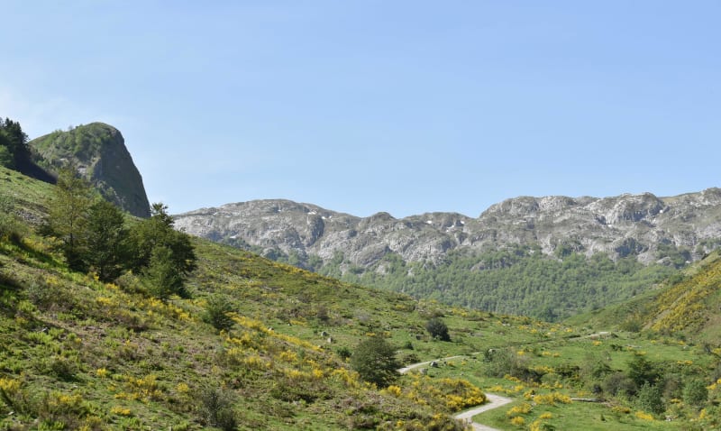 Bol d'air pur en vallée d'Ossau - Castet
