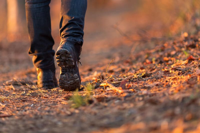 Balade en forêt d'Elzange à Valmestroff - Elzange