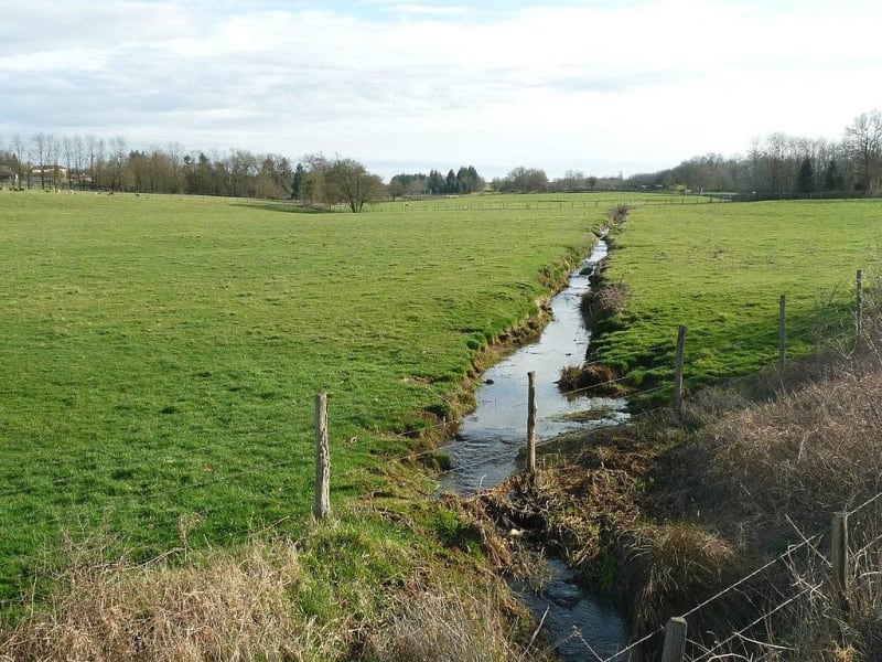 Marcillac et ses campagnes viticoles - Val-de-Livenne