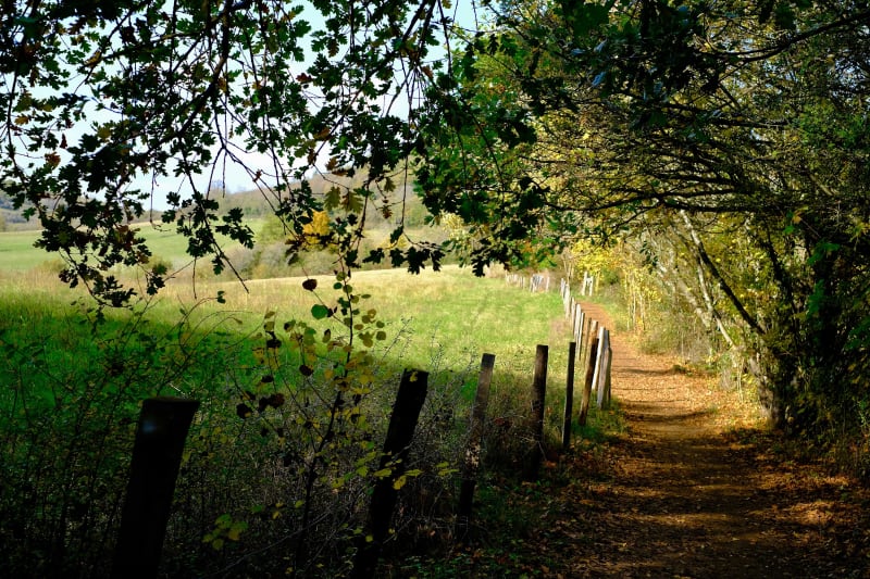 Het bos van Serres en zijn hutten - Dardilly