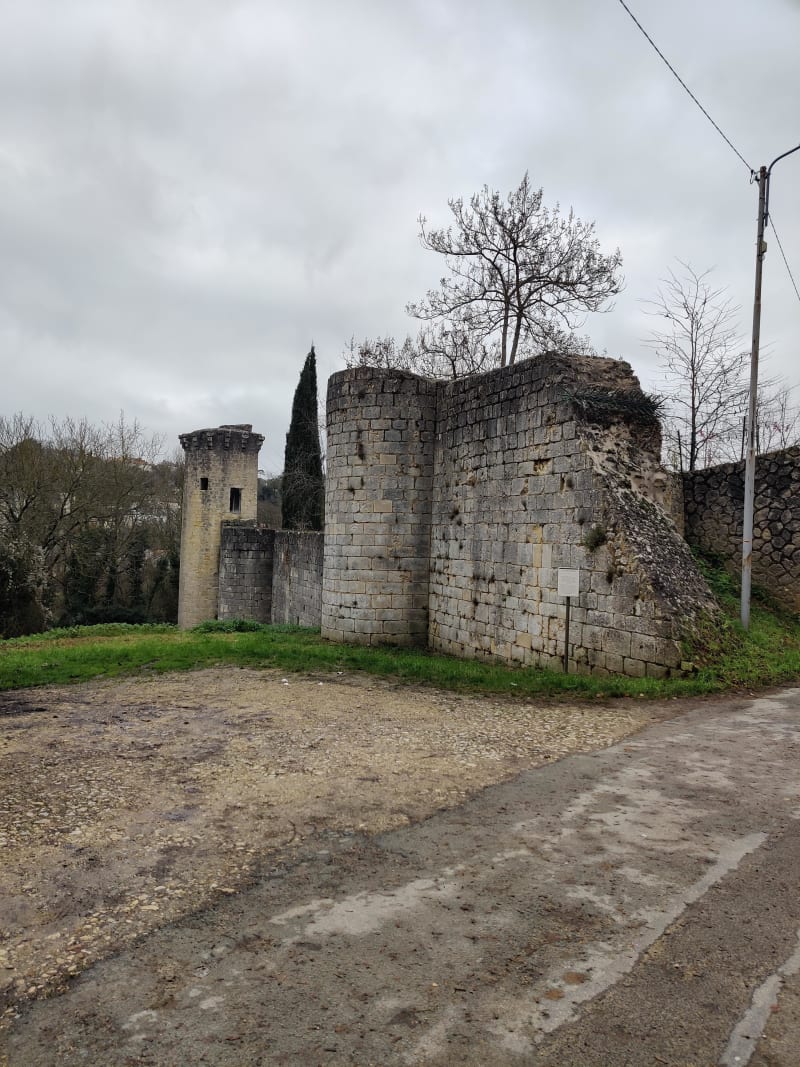 Cheminer aux bords de la Boivre et nature luxuriante - Poitiers