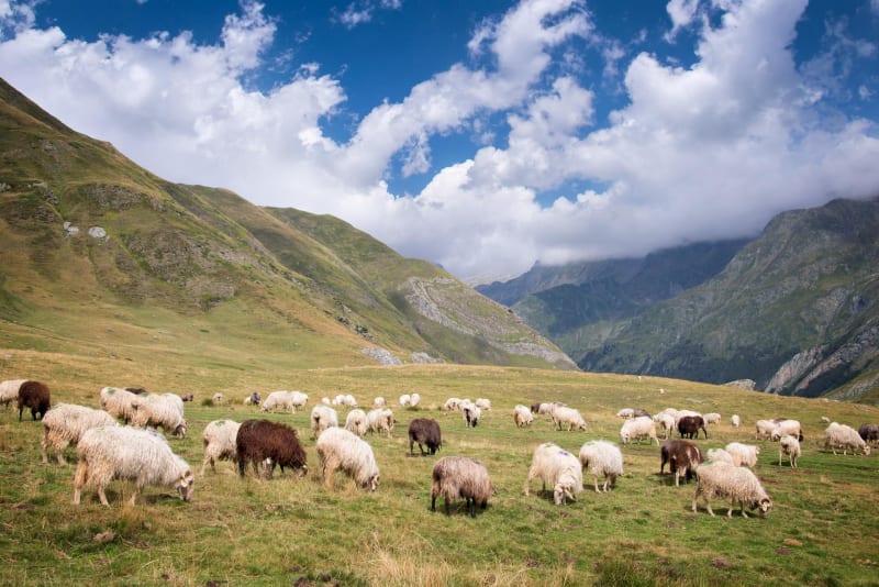 Grande boucle depuis le port de Castet et Vallée d'Ossau - Castet