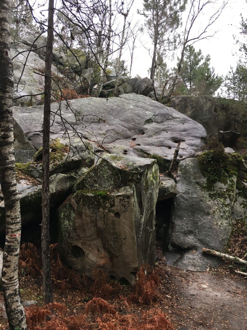 Fabuleuse forêt des Trois Pignons et le charme de ses bosses - Noisy-sur-Ecole