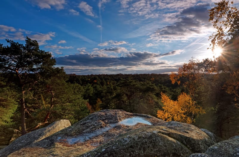 A l'assaut des gorges de Franchard et drôles de rochers - Fontainebleau