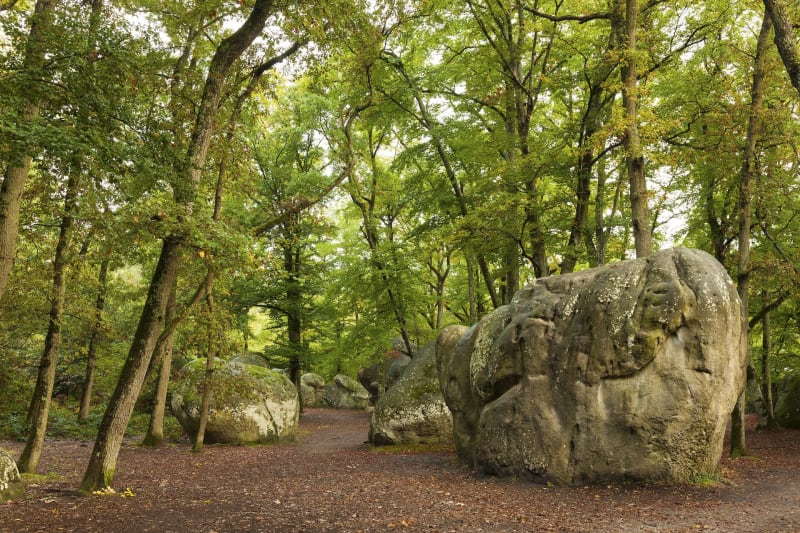 Fontainebleau et son Petit mont Chauvet - Fontainebleau