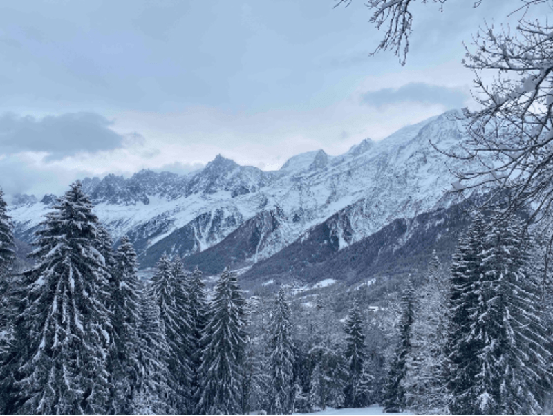 Raquettes aux chalets de Charousse et s'éclater en luge - La Côte des Chavants, Les Houches