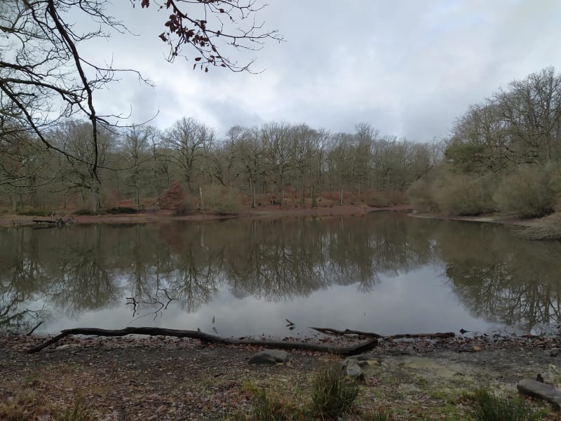 Moment de paix et bain d'air pur à Poigny-la-Forêt - Poigny-la-Forêt