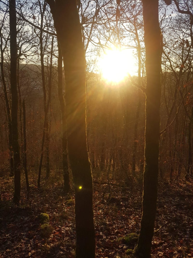 Nouzonville et le bois de la Havetière pour trouver le calme - Nouzonville