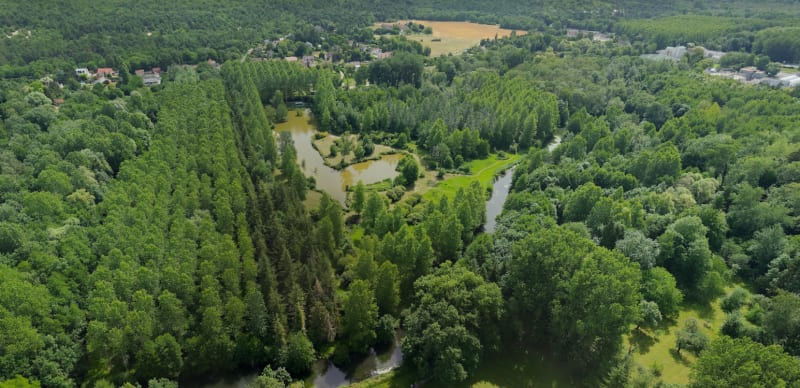 Plonger dans la vallée de l'Essonne et sa riche histoire - Le Malesherbois