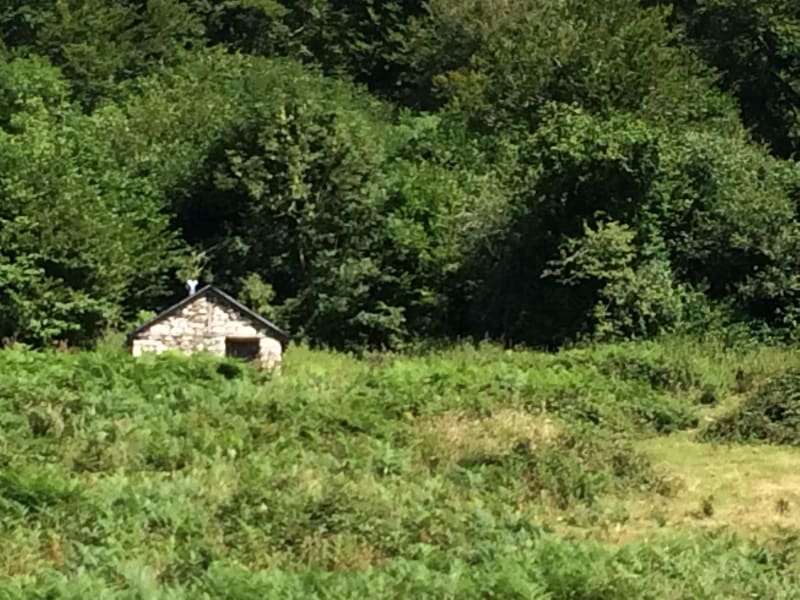 Bain de nature à Castet entre forêts et pâturages verdoyants - Castet