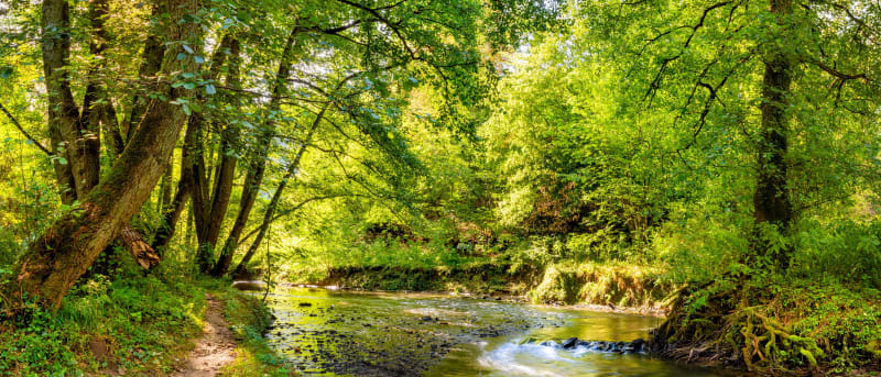 Dans l'intimité de la vallée de Chevreuse et joli patrimoine - Lévis-Saint-Nom