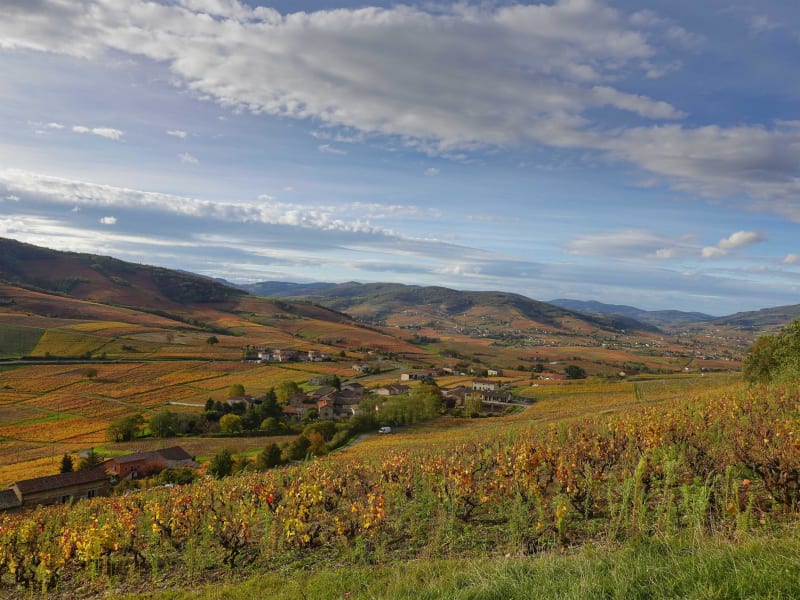 Autour du Mont Brouilly - Odenas