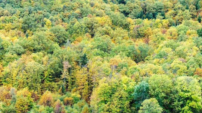 La croix de Peisselay depuis Valsonne - Valsonne