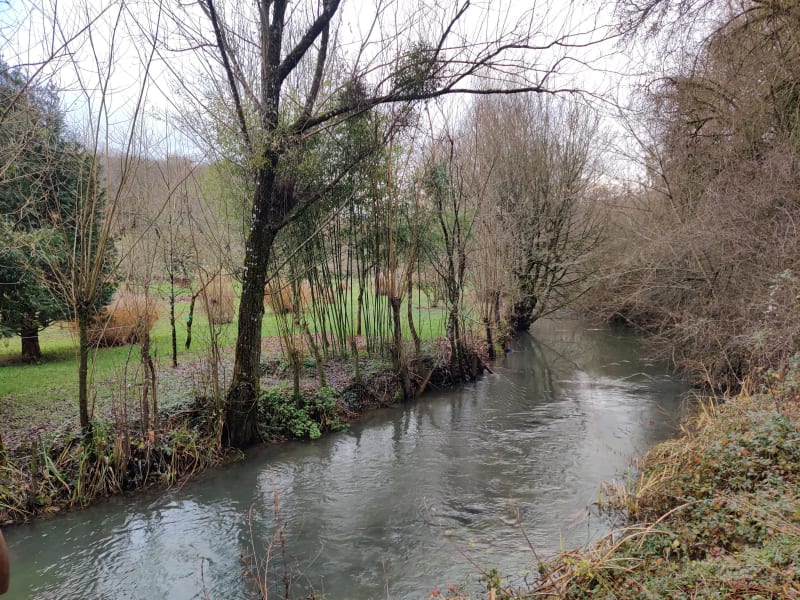 Coteaux de la Boivre et faune discrète - Poitiers