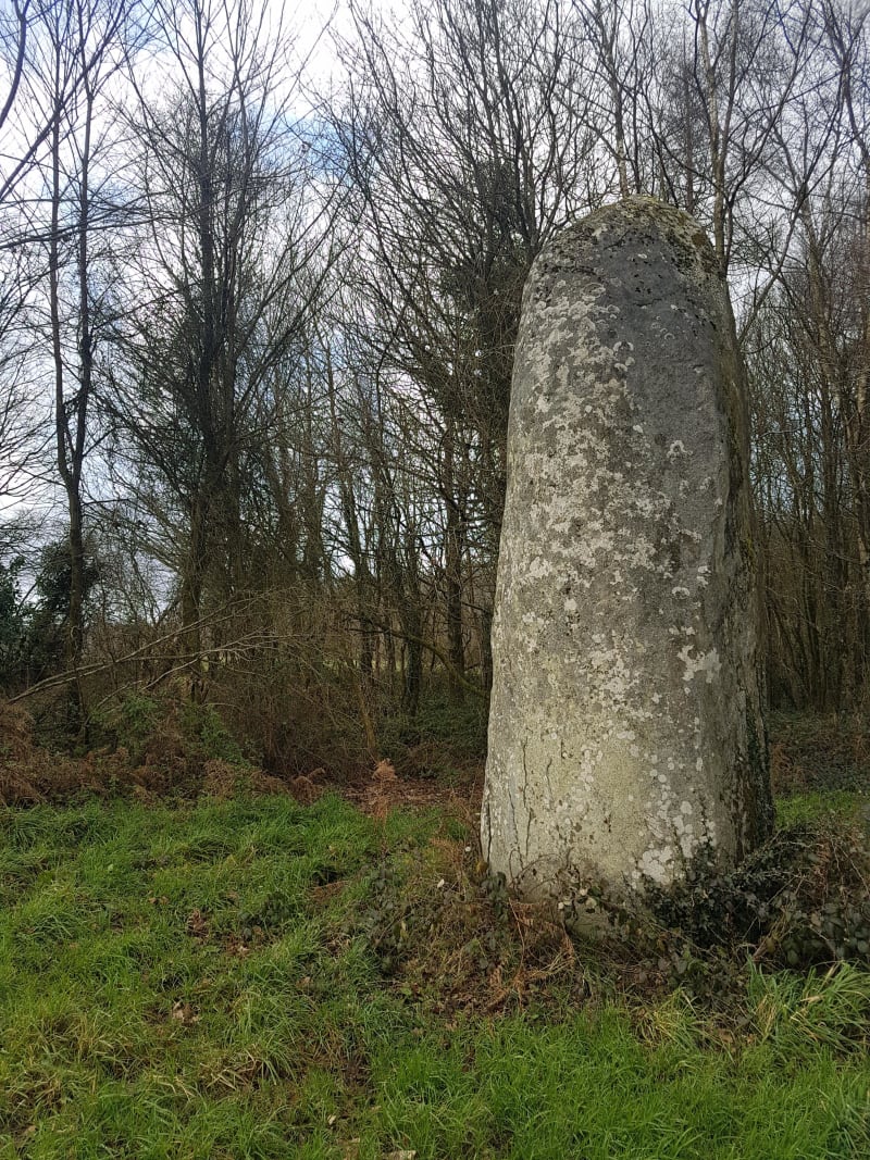 Menhirs du Mené et graines de Gargantua - Langourla