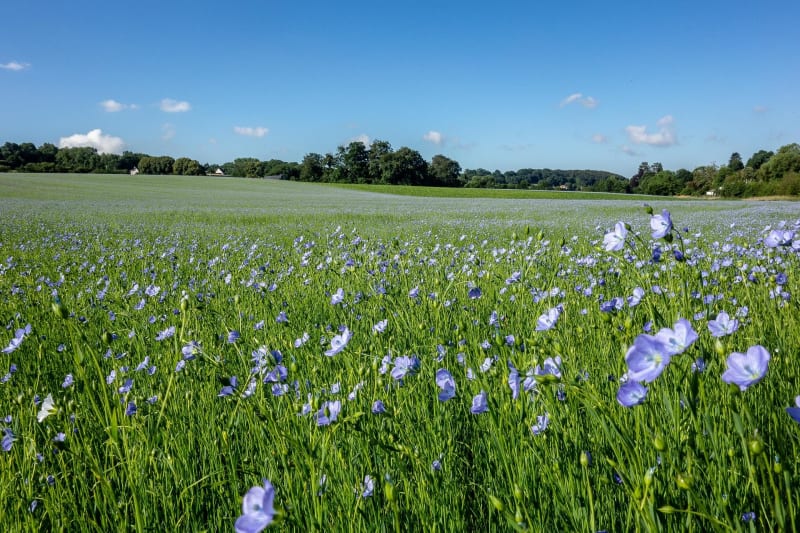Croth et la verdoyante vallée de l'Eure - Croth
