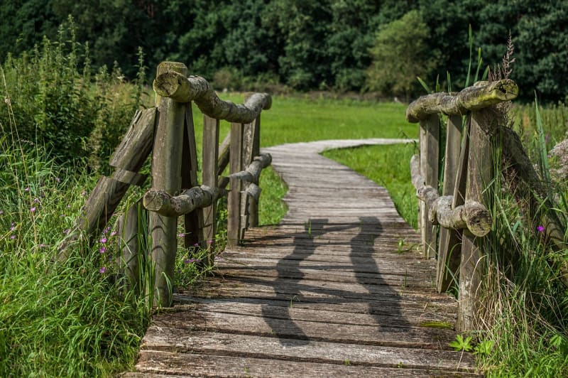 In Manou, ontdekking van het Froux-veenmoeras - Manou