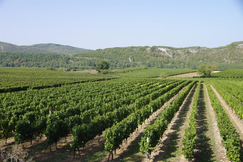 Villaudric : châteaux, vignobles et claires fontaines - Villaudric