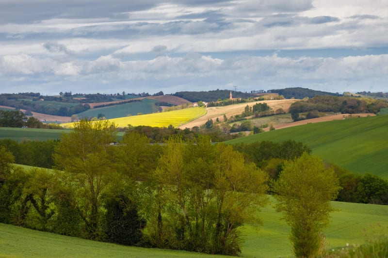 Bazus et sa campagne - Bazus