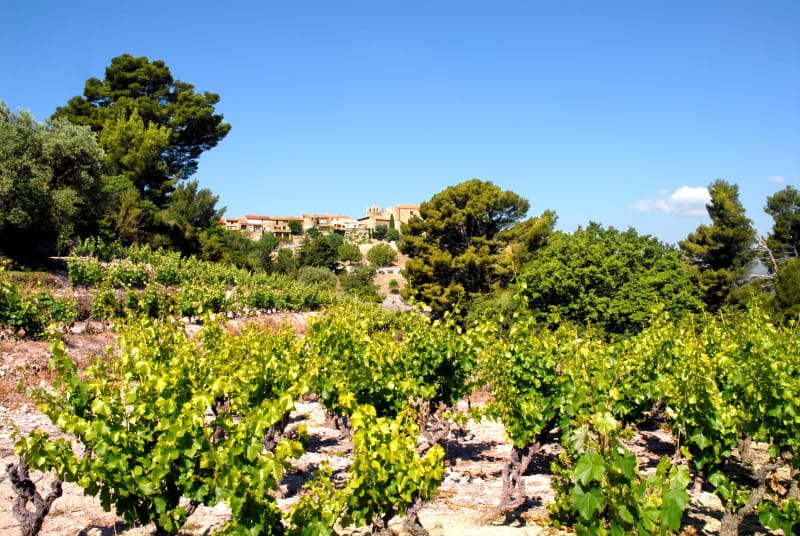 Balade bucolique à Pourcieux et curieuses découvertes - Saint-Maximin-la-Sainte-Baume