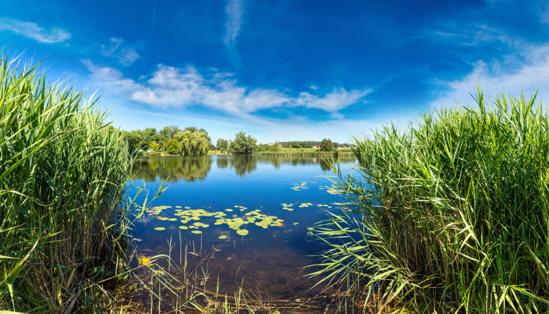 Tour des plans d'eau de Fontenay et détour forestier - Fontenay-sur-Eure