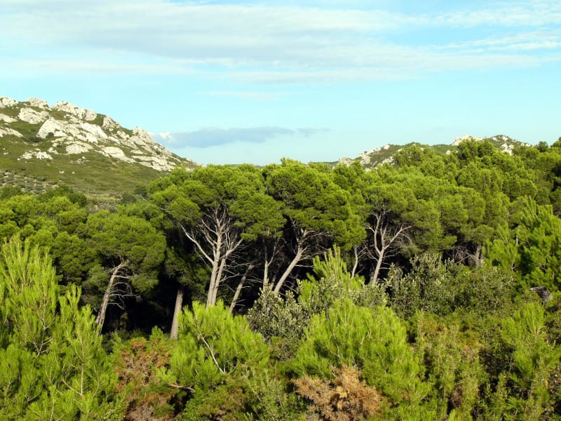 Vitrolles-en-Lubéron et boucle de sérénité sauvage - Vitrolles-en-Lubéron