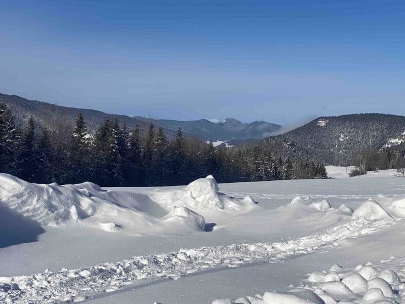 De goudklompjes van Correncon en Vercors - Corrençon-en-Vercors