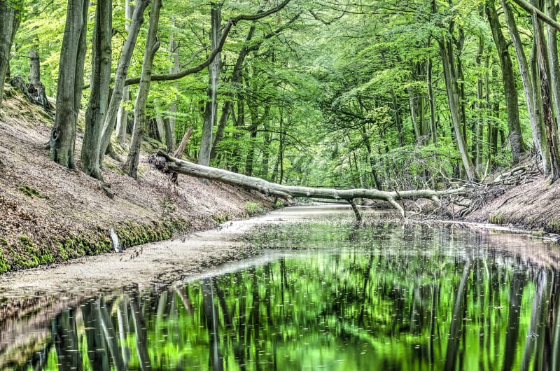 Bord des eaux du Betz, au large de la Seine-et-Marne - Bransles
