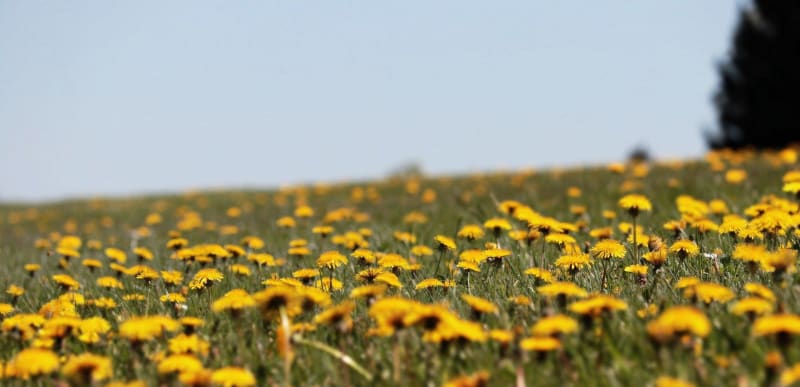 Déconnecter et prendre son temps dans la vallée de Villalet - Villalet