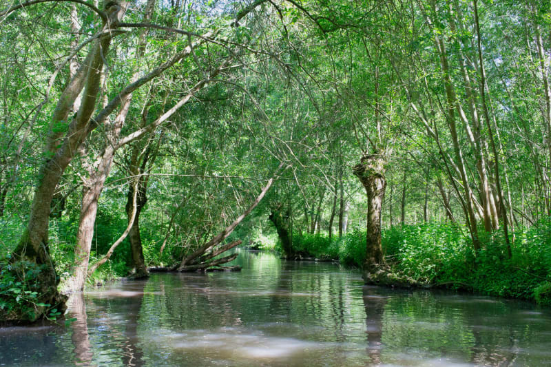 Au bord de l'Auxence, ruralité et résilience - Luisetaines
