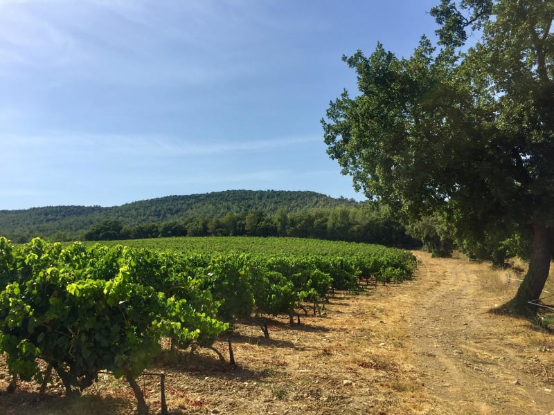Hauteurs des Borrels et richesse des paysages - La Londe les Maures