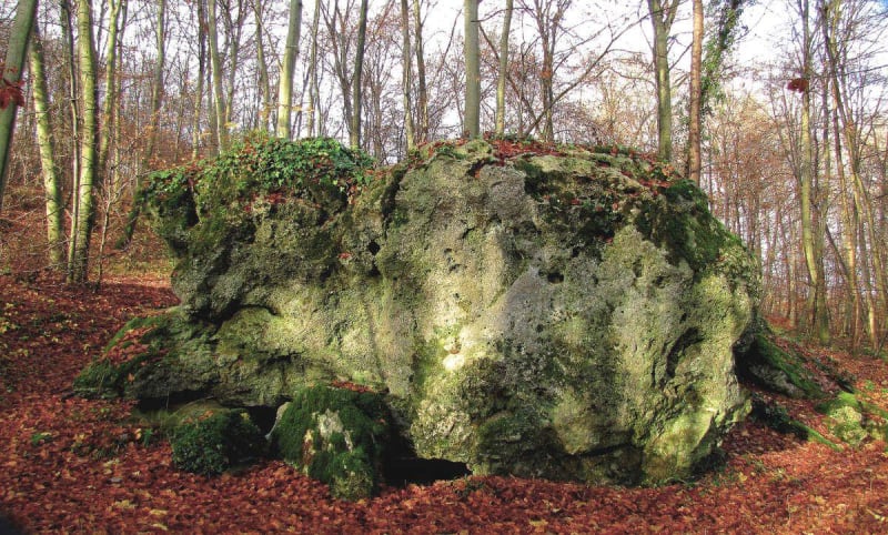 Tour du Mont Saint-Mard et de l'essence du hêtre - Trosly-Breuil