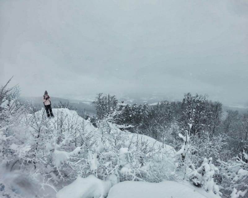 Raquettes au massif des Vosges, du Falkenstein au Schelmeck - Grendelbruch