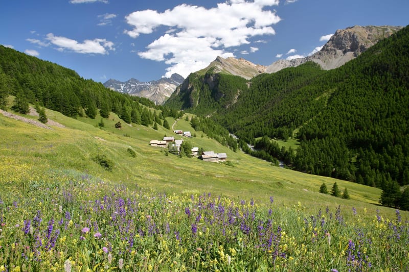 Col de Bramousse et rando athlétique le long du GR® 58 - Guillestre