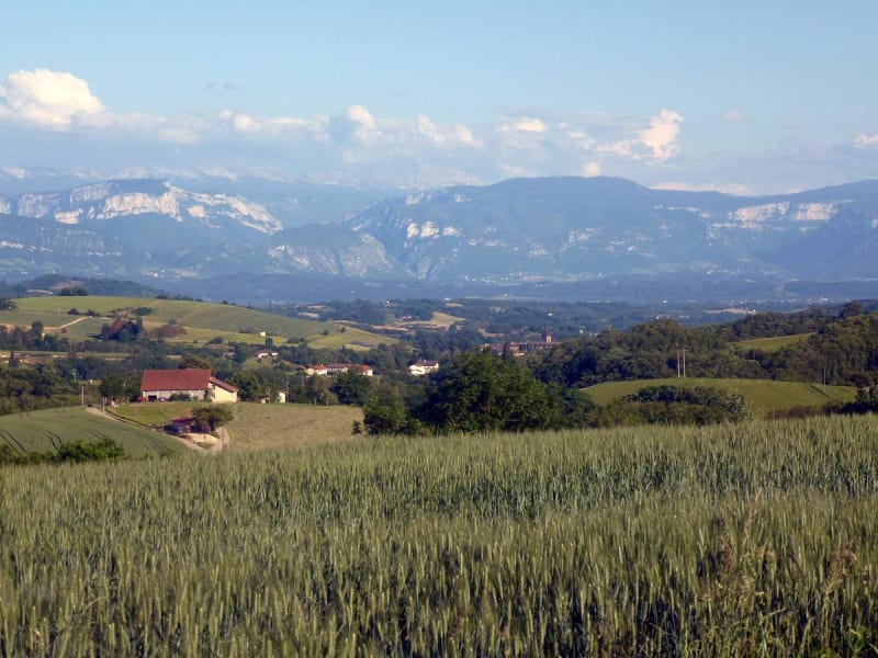 Tranquillité des Chambaran et histoire oubliée - Marnans, Roybon