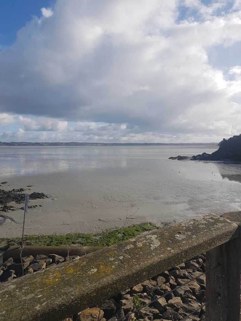 Sous la tour du Gouët et en compagnie des oiseaux marins - Saint-Brieuc