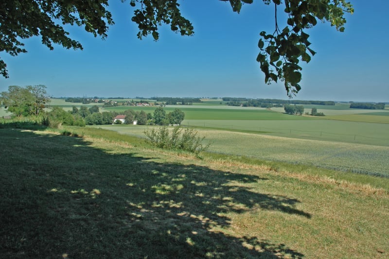 Savins et excursion champêtre au cœur du Montois - Savins