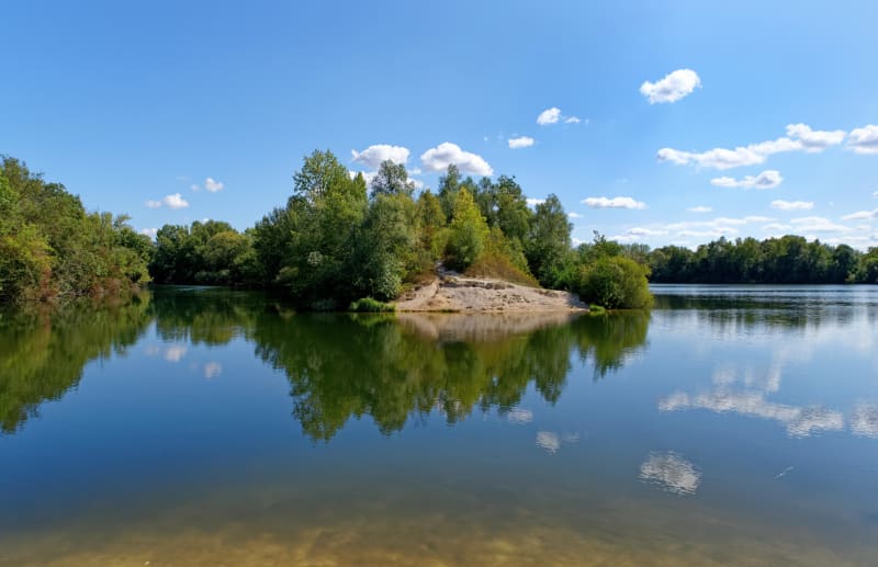 Virée au milieu des étangs de la Bassée et habitants ailés - Châtenay-sur-Seine