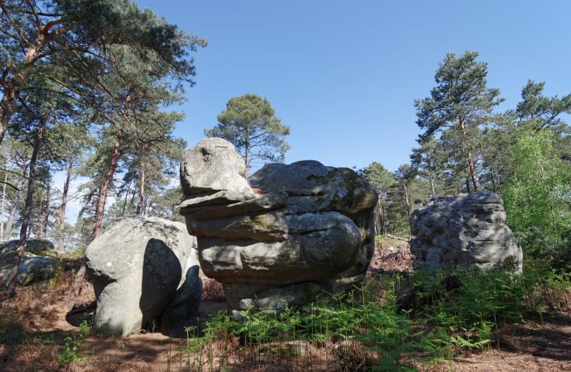 Le Rocher vert de Nemours et passion pour la grimpe - Nemours